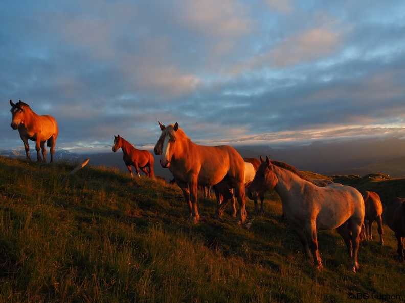 1607 - BG -Coucher de soleil - Herran_03.JPG