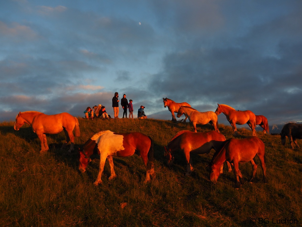 1607 - BG -Coucher de soleil - Herran 09