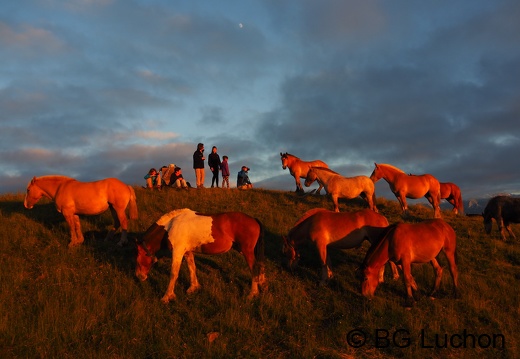 1607 - BG -Coucher de soleil - Herran 09 (1394 visits) 1607 - BG -Coucher de soleil - Herran 09
