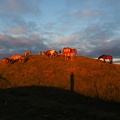 1607 - BG -Coucher de soleil - Herran 10