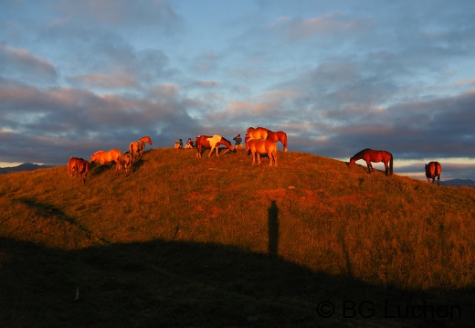 1607 - BG -Coucher de soleil - Herran 10 (1419 visits) 1607 - BG -Coucher de soleil - Herran 10