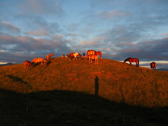 1607 - BG -Coucher de soleil - Herran 10 (1506 visits) 1607 - BG -Coucher de soleil - Herran 10