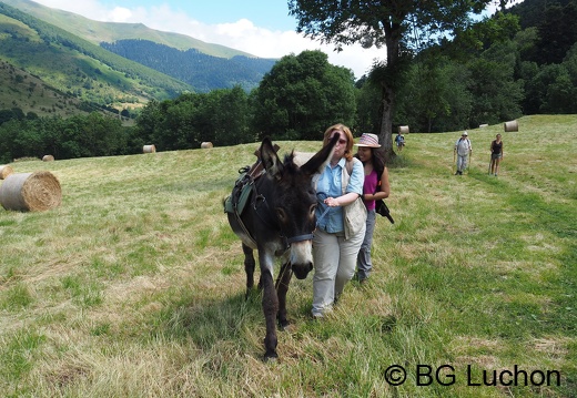 Rando ânes - Anes des Chemins, ânes des Jardins - Mayregne