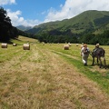 1607 BG Rando âne Mayregne 02 (2183 visites) 1607 BG Rando âne Mayregne 02