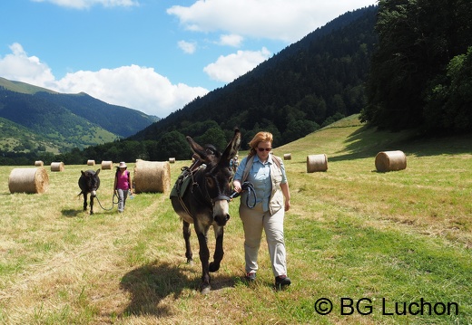 1607 BG Rando âne Mayregne 04 (2106 visits) 1607 BG Rando âne Mayregne 04