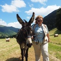 1607 BG Rando âne Mayregne 06 (2321 visites) 1607 BG Rando âne Mayregne 06