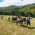1607 BG Rando âne Mayregne 07 (2330 visites) 1607 BG Rando âne Mayregne 07