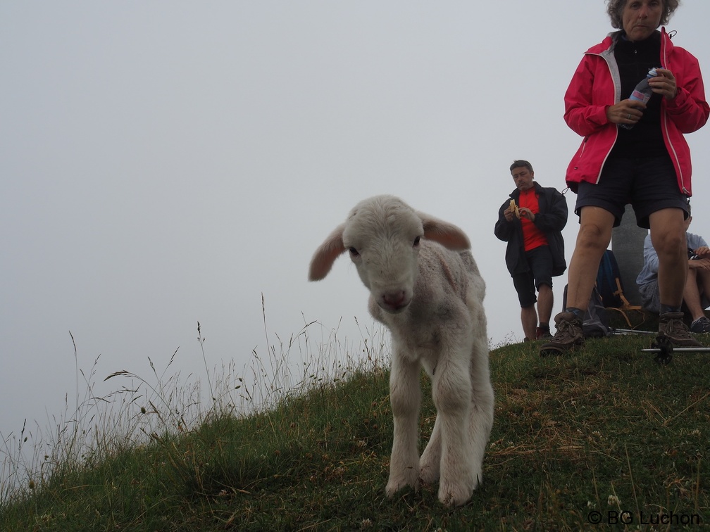1607 BG Lucky au Poujastou 01 (2629 visites) 1607 BG Lucky au Poujastou 01