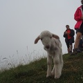 1607 BG Lucky au Poujastou 01 (2677 visites) 1607 BG Lucky au Poujastou 01