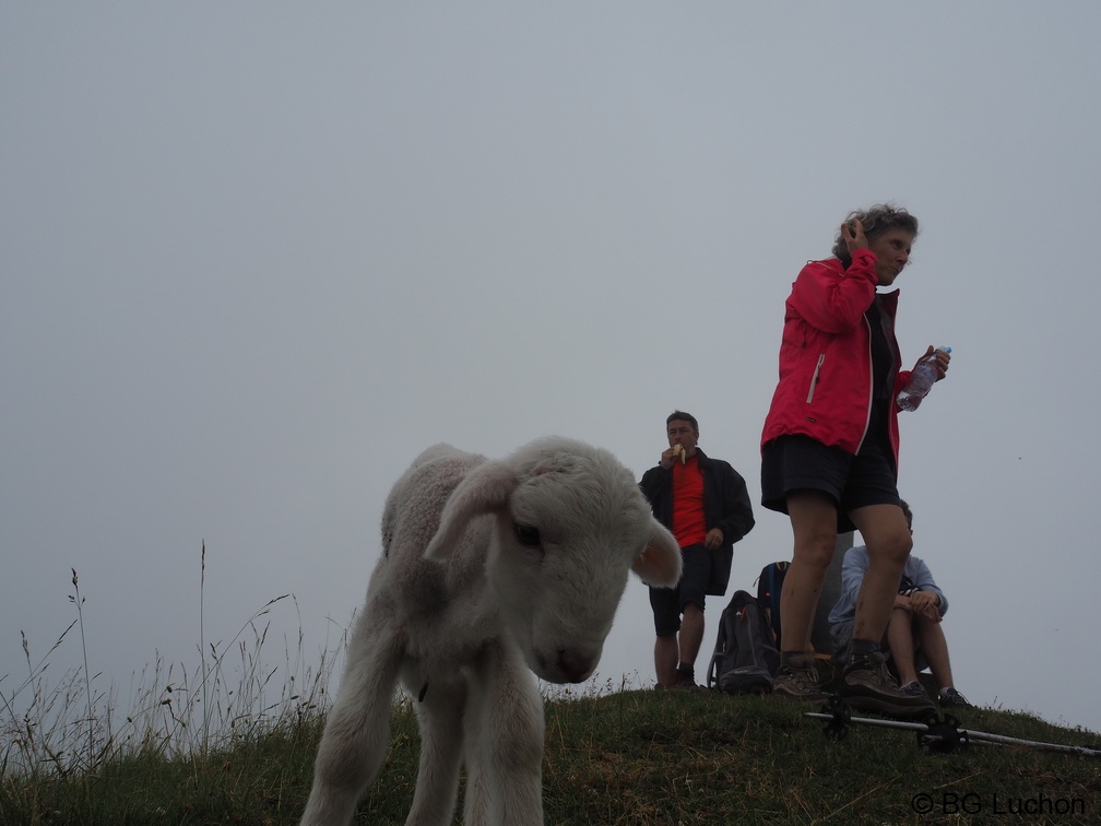 1607 BG Lucky au Poujastou 02 (2295 visites) 1607 BG Lucky au Poujastou 02