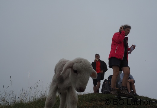 1607 BG Lucky au Poujastou 02 (2053 visits) 1607 BG Lucky au Poujastou 02