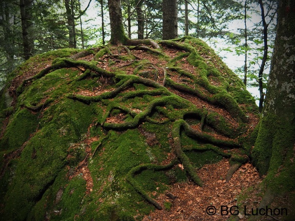 1607 BG Gouffre d'Enfer 04