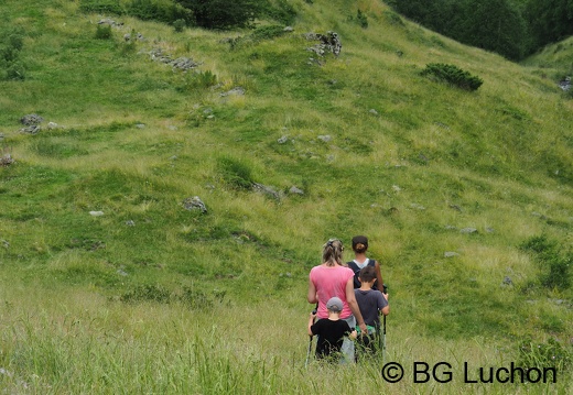 1607 BG Animaux 15 (1308 visits) 1607 BG Animaux 15