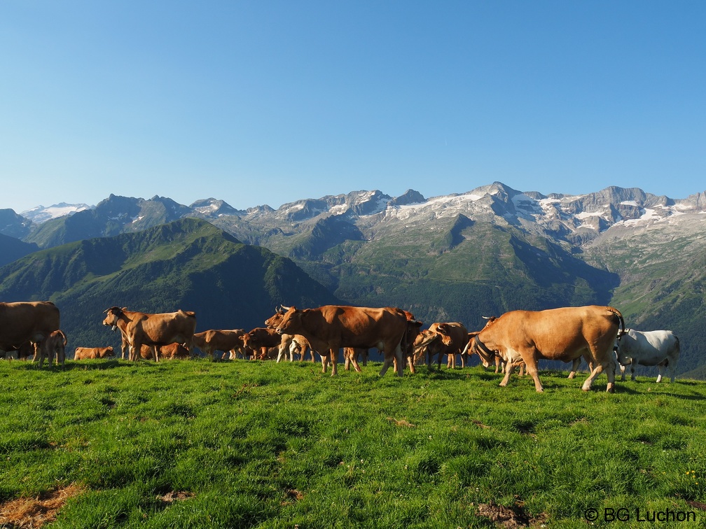 1607 BG Traversée Super Crabioules 01