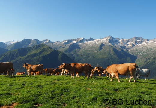 1607 BG Traversée Super Crabioules 01 (1956 visits) 1607 BG Traversée Super Crabioules 01