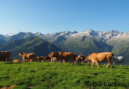 1607 BG Traversée Super Crabioules 01