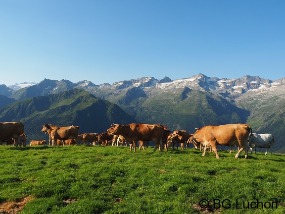 1607 BG Traversée Super Crabioules 01
