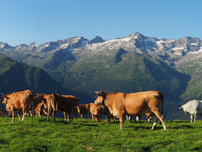 1607 BG Traversée Super Crabioules 02