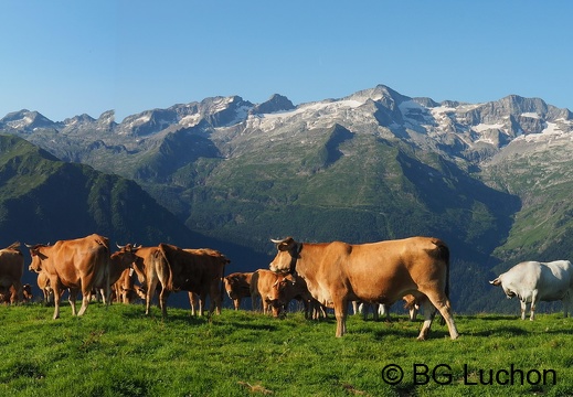 1607 BG Traversée Super Crabioules 02