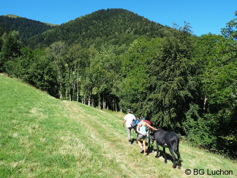 1608 AFDV Rando âne mayregne 01 (2276 visites) 1608 AFDV Rando âne mayregne 01
