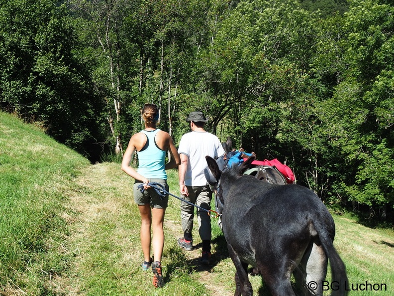1608 AFDV Rando âne mayregne 02 (2263 visites) 1608 AFDV Rando âne mayregne 02