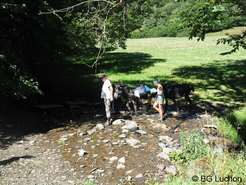 1608 AFDV Rando âne mayregne 04 (2506 visites) 1608 AFDV Rando âne mayregne 04