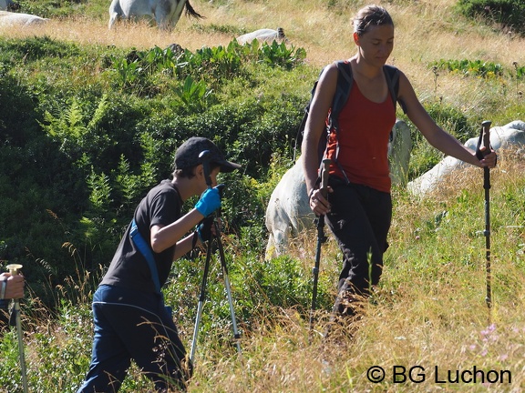 1608 BG Animaux 08 (2515 visites) 1608 BG Animaux 08