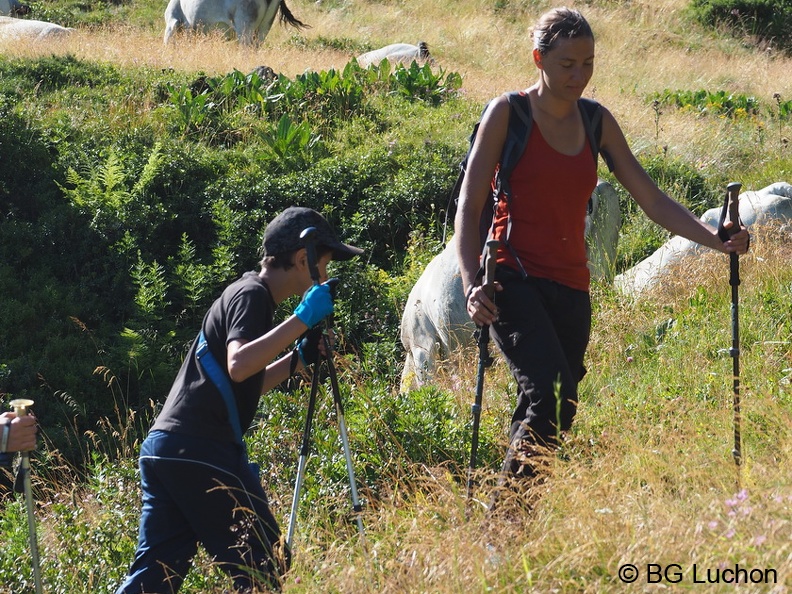 1608 BG Animaux 08 (2515 visites) 1608 BG Animaux 08