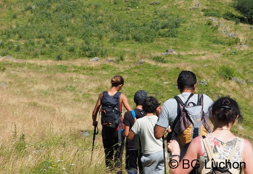 1608 BG Animaux 26 (1211 visits) 1608 BG Animaux 26