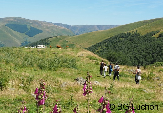 1608 BG Animaux 28 (1284 visits) 1608 BG Animaux 28