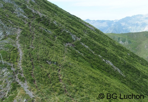 1608 BG Crete de la coum des clots 13