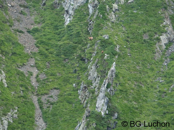 1608 BG Crete de la coum des clots 45 (2303 visites) 1608 BG Crete de la coum des clots 45