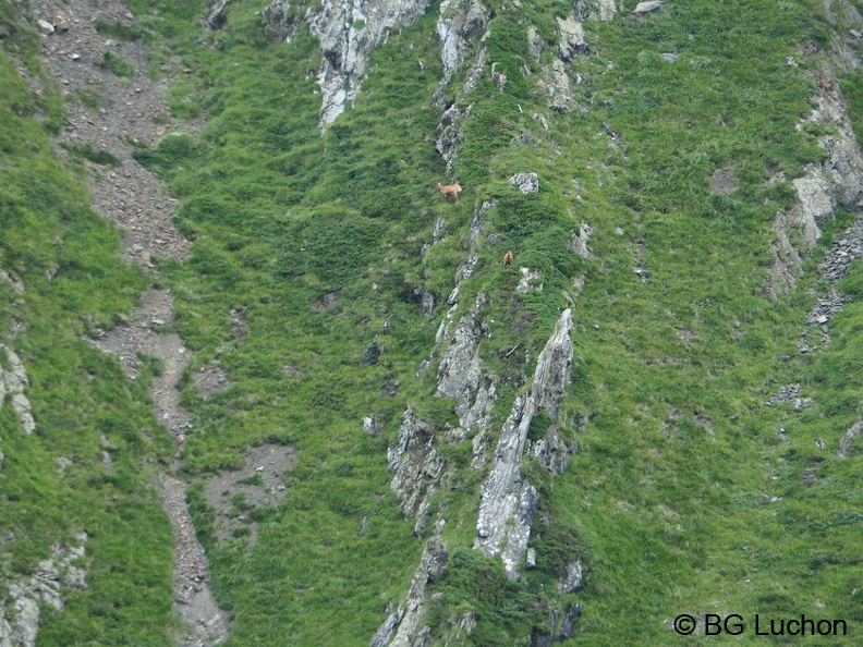1608 BG Crete de la coum des clots 45