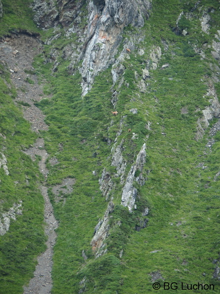 1608 BG Crete de la coum des clots 45 - 1608 BG Crete de la coum des clots_45.JPG 1608 BG Crete de la coum des clots_45.JPG