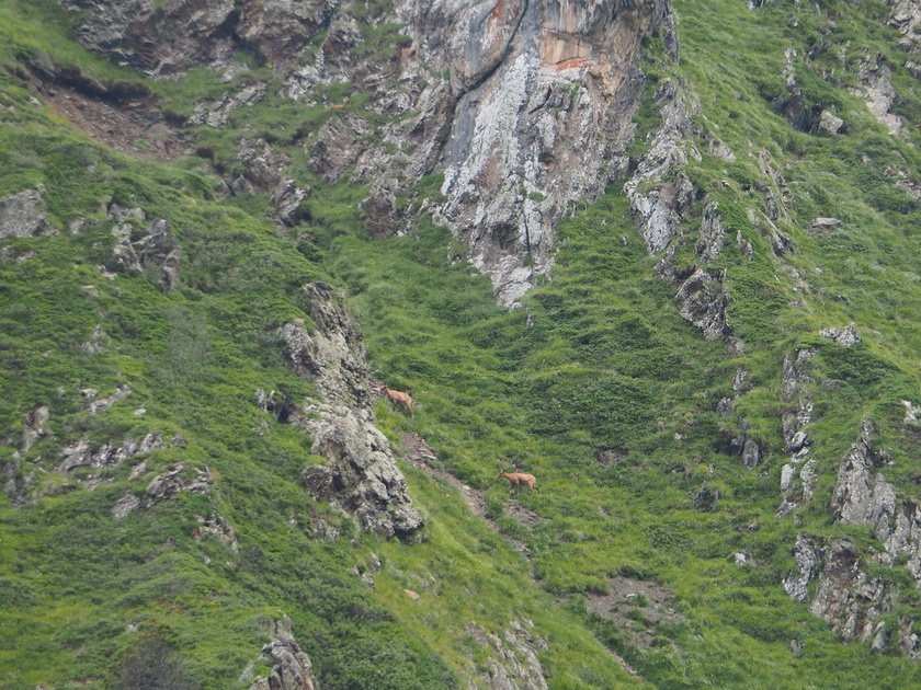 1608 BG Crete de la coum des clots 49 (2389 visites) 1608 BG Crete de la coum des clots 49