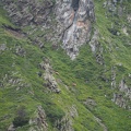 1608 BG Crete de la coum des clots 49 (2382 visites) 1608 BG Crete de la coum des clots 49