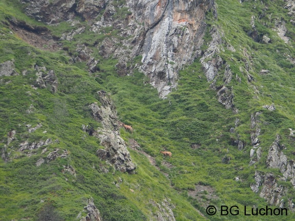 1608 BG Crete de la coum des clots 49 (2382 visites) 1608 BG Crete de la coum des clots 49