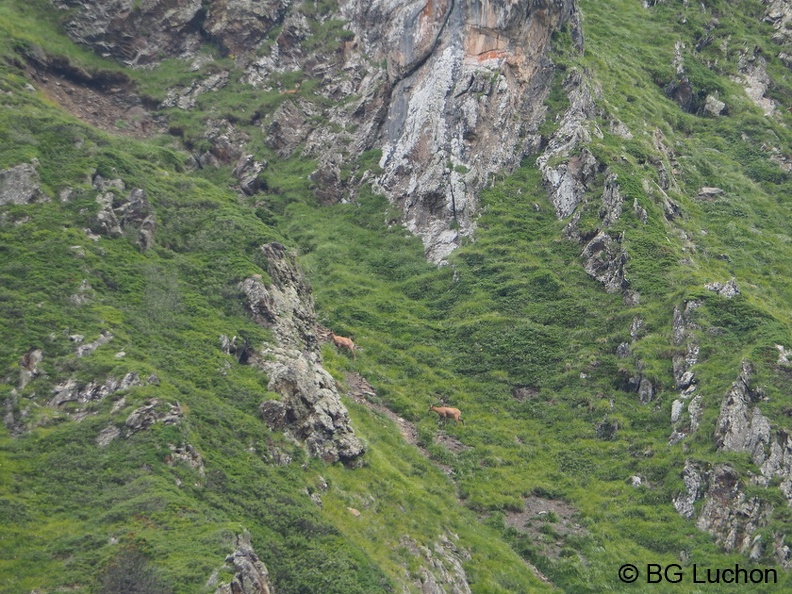1608 BG Crete de la coum des clots 49