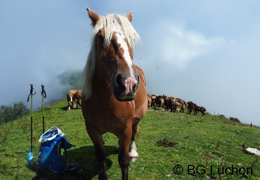 1608 BG Tuc du plan de la serre-08