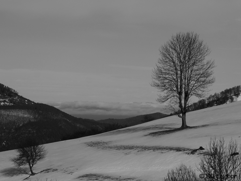 170112 BG Artigues 15 (2714 visites) 170112 BG Artigues 15