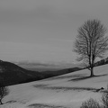 170112 BG Artigues 15 (2714 visites) 170112 BG Artigues 15
