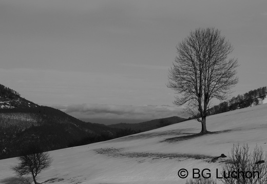 170112 BG Artigues 15 (1632 visits) 170112 BG Artigues 15