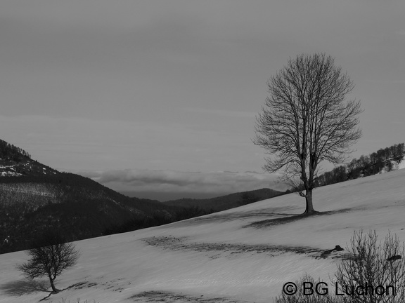 170112 BG Artigues 15 (2729 visites) 170112 BG Artigues 15