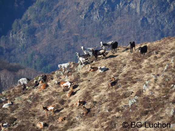 170219 BG Poujastou 01 (2565 visites) 170219 BG Poujastou 01