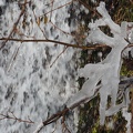 170301 BG Bourg d'Oueil Cires 06 (2268 visites) 170301 BG Bourg d'Oueil Cires 06