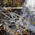 170301 BG Bourg d'Oueil Cires 07 (2240 visites) 170301 BG Bourg d'Oueil Cires 07