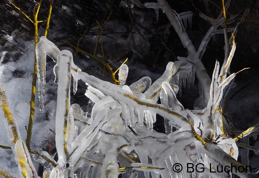 170301 BG Bourg d'Oueil Cires 10