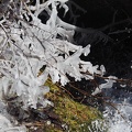 170301 BG Bourg d'Oueil Cires 11 (2058 visites) 170301 BG Bourg d'Oueil Cires 11