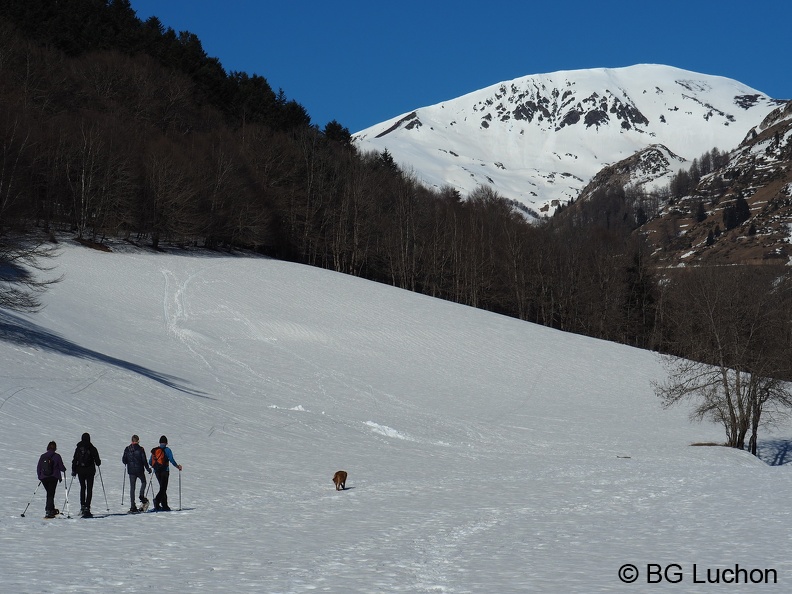 170218 BG Mayregne 47 (2121 visites) 170218 BG Mayregne 47