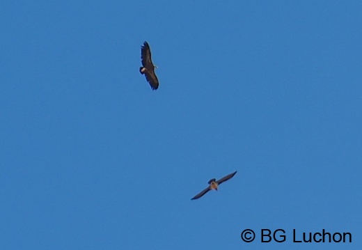 170310 BG Cap de la lite 58 (2053 visites) 170310 BG Cap de la lite 58